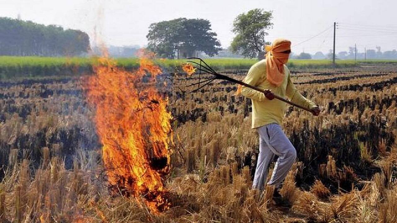 Representational image. PTI